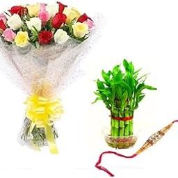 Floral Fantasy® Original Real Fresh Flower Bouquet For Rakhi Gift (Bunch Of 20 Mix Roses with one Rakhi and 2 layer Lucky Bamboo Plant)-image-7