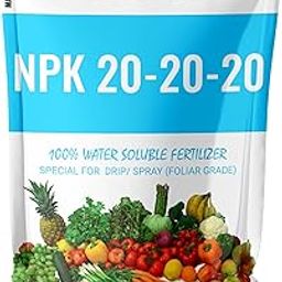 GACIL® NPK 20-20-20 Water Soluble Fertilizers for Plants Growth 100 g | Enhance root growth | Important nutrients like Nitrogen Potash and Phosphurus for Flowering and Plant Growth-image-19