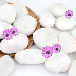 NUPICK 6lb River Rocks for Plants Indoor, 2-3Inch White Pebbles for Vases Fillers, Decorative Gravel for Fish Tank, Natural Polished Stones for Succulent, Bonsai, Landscaping, Bird Baths-image-46