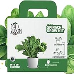 Spinach Plant Kit| Plant Kit for Home Gardening| Pack Includes- Spinach Seeds, Pot, Poting Mix(Soil & Fertilizer Mix)| Plant Growth and Protection Spray, Cocopeat, Nutrition Powder|-123