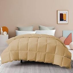 YRM Bedding's Queen Size Microfiber Comforter - 250 GSM All Weather Blanket/Quilt/Rajai (90" x 90" Inches/228cm x 228cm) - Beige-image-34