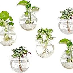 Kingbuy Wall Hanging Glass Planters Oblate Globe Propagation Station Wall-Mounted Flower Vases Perfect for Air Plant Terrariums Home Decor, Clear, 6 Pack-18