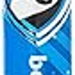 SG Cricket Bat HP Blitz No. 5-picture-13