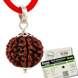 Virasit 5 Mukhi Rudraksha Original Certified Silver Plated Pendant | Natural Nepali Five Face Rudraksh Bead | Astrological Benefits | Unisex Design for Men & Women-image-30