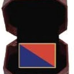 Indian Police Flag Jewellery Gold Enamel Lapel Pin-25
