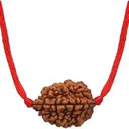 Choose Your Natural Certified Nepali Rudraksha 1 to 13 Mukhi Ganesh Gauri Shankar Simple Pendant with Red Thread Shiva Astrology Jewellery for Men Women-28