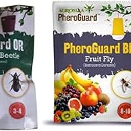 OR Lure for Rhinoceros Beetle - Agriculture Use, 50-60 Days Life,Pack of 5 | & | BD Combo Pack Pheromone Lure for Bactrocera Dorsalis Glass Trap, Pack of 5-25