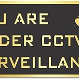 Berrybox CCTV Stickers For Glass Doors (Size: 6 Inch) For Office, Stores, Cafe, Hotel, Restaurant, Business & Shop, Self-Adhesive, Acrylic Signage (CCTV)-image-55