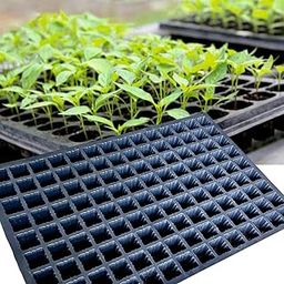 DINEDUST Seedling Tray for Plants – 126 Cell Reusable Germination Tray | Nursery Trays for Seedling, Sapling, Seed Starter & Growing Tray (Pack of 5, Black)-image-101