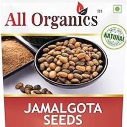 All Organics Jamalgota Seeds - for hair growth 100 gm-image-14