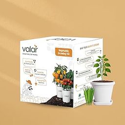 Valar Cluster Beans Growing Kit | DIY All-in-One Home Gardening Set (Pack of 1 - Big) | Organic Seeds + Bio-Fertilizers + 24x7 Support. (No Pot/Grow Bag)-image-76