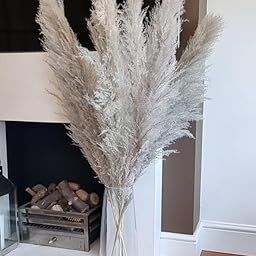 Decorative Ferns Naturally Dried Flower for Vase Filler for Home Indoor Office Decor (Greyish White)-picture-22
