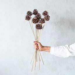 10 pcs Dried Pine Cone on Stems|Eco-Friendly Flowers for Home, Office, Bedroom, Table Decoration and Vase Fillers(Without Vase Pot)-20