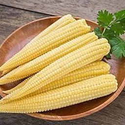 BALAJI TRADING COMPANY Baby Corn High Germination Seeds for Your Garden/Easy to Grow/Organic Hybrid Vegetable Seeds for Home and Terrace Gardening-image-28