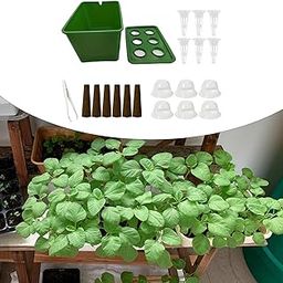 ATORSE Hydroponics Growing System Hydroponics Grower Kit for Hotel Parterre Balcony Green-picture-19