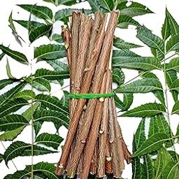KRANEE DEALS Organic Natural Neem Chew Sticks Nim Tree Twigs for Better Tooth Gems, Relieve Tooth Ache Brushing Teeth Removes Bad Breath Breath,Toothpaste Chew Sticks - (Pack of - 20)-picture-22