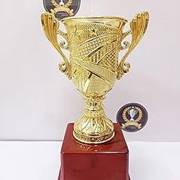 Trophy Golden Design Open Cup-image-3