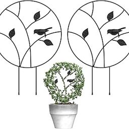 Lavish Craft Metal Garden Trellis for Climbing Plants, Indoor/Outdoor Sturdy Plant Trellis for Potted Plants,House Plants, Climbing Vines-image-42