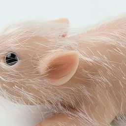 Fashion My Day Small Reborn Pig Toy Sensory Toy Novelty for Kids and Adults Home Decoration-image-78