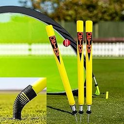 Cricket Plastic Target Stump Wicket 3 Pcs-Flexible Steel Spring & Ground Spike - AB-image-19