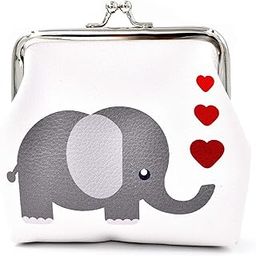 Kiss Lock Purse for Women | Waterproof Portable Change Pouch | Mini Purse Wallets for Cash, Key-image-12