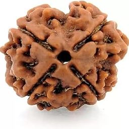 4 mukhi Rudraksha is Original bead Certified, Quality Pure Char Mukhi Rudraksha four Face Chaturmukhi Rudraksha Pendant Chaarmukhee Rudraksha beadX14-image-39
