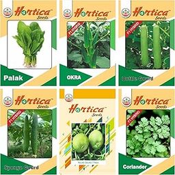 Hortica Vegetable Seeds pack of 6 (Spinach, Okra, Bottle Gourd, Sponge Gourd, Round Gourd, Coriander)-image-55
