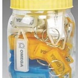 1754 Elegant Key Chain 50 Pcs Plastic Jar-image-87