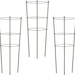 SpiderJuice Adjustable Plastic Round Plant Support Ring Circular Plant Support Cage Sticks Stakes for Climbing Vines Crop Plant Climbing Trellis Reusable Support Brackets for Pots Indoor Outdoor-image-87