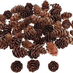 CALANDIS 60Piece Pine Cone Pineal Nuts Party Decorations Adornments Vase Bowl Fillers | Pine Cones | 60 Pieces Natural Small Pine Cones in Bulk-image-62