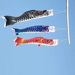 55cm Koinobori Koi Nobori Carp Windsocks Streamers Fish Decoration Blue-image-82