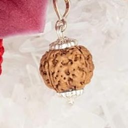 Dine Gems 3 Mukhi Rudraksha Pendant Nepali 3 Mukhi Rudraksha Trimukhi Rudraksha Original Certified 3 Face Rudraksha 3 Mukhi Nepal-12
