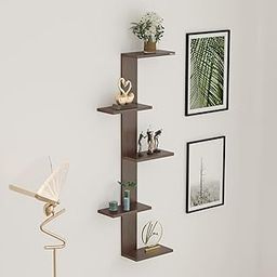 BLUEWUD Alaire Engineered Wood Decor Floating Shelf Display Rack Decorative Hall Décor for Living Room Home Furniture (Wenge)-image-63