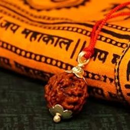 3 Mukhi Rudraksha Original Certified 3 Face Rudraksha Original Nepal with Pendant 3 मुखी रुद्राक्ष Lord Agni Tin Mukhi Rudraksha Three Mukhi Rudraksha Nepali 3 Mukhi Nepali by Certified Gems-picture-14