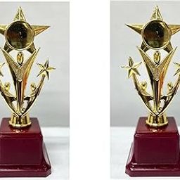 Metallic Fiber Victory-Star Golden Winning Trophy/Award for Winners Set of 2 10 INCH-picture-32