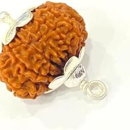BRAINCORD 15 Mukhi Fifteen Face Rudraksha Certified 15 मुखी रुद्राक्ष Pashupatinath Rudraksha Nepali Fifteen Mukhi Rudraksha 15 Faced Pandrah Mukhi Capped Rudraksha for Wearing & Japa Purpose-image-96