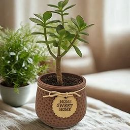 Vessolo Home Sweet Home Ceramic Planter, Brown Textured Plant Pot with Drainage, 4 x 3.8 Inches, Indoor and Outdoor Usage-image-78