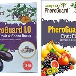 LO Leucinodes Orbonalis Lure | Brinjal Fruit & Shoot Borer Control | Pack of 10 | & | BD Bactrocera Dorsalis Lure | Fruit Fly Control for Agriculture | Pack of 5-image-67