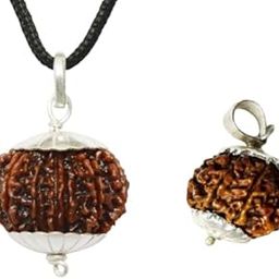 A1 Premium 11 Mukhi Rudraksha Nepal Original 11 Face Rudraksha Pendant With Free 5 Mukhi Ruthratcham Hanuman Blessed Ruthrajam 11 मुखी रुद्राक्ष-46