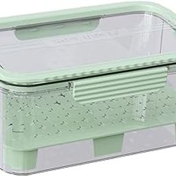 THE STYLE SUTRA Ice Chilled Camping Food Container Fruit Storage Container for Fridge Veggie Green-image-92