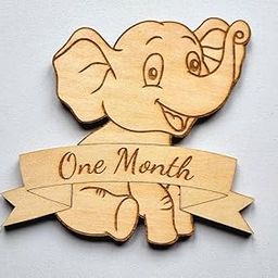 Haoser Elephant Interchangeable Baby Milestone Plaque – Newborn Age Tracker | Nursery Decor | Monthly Milestone Sign | Baby Shower Gift – 13 x 12 cm-25