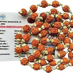 Apnisanskriti Rudraksha Mala in Silver Designer Caps (7 mm, Lab Certified) - Natural Rudraksha Beads - Silver Plated - Pack of 1-image-58