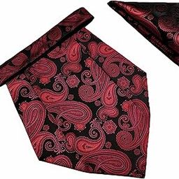 France Men's Self-Design Paisley Cravat NeckTie for Men Free Size Microfiber Fabric-image-9