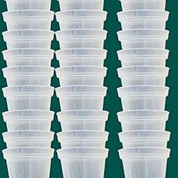 Transparent Clear Nursery Pot 2.5 inch Small Small Size Seedling Pot Planter Pac of 30-picture-9
