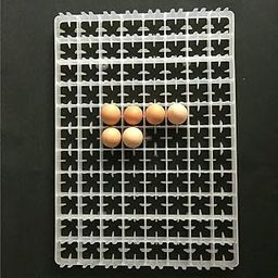 Ndeal | 88 Chicken Egg Tray for Industrial Egg Incubator and DIY/Homemade Egg Incubator (Pack of 10)-12