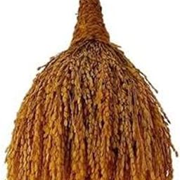 Mats Avenue® Blessed Bunch of Paddy Spikes(Kathir Katta, Niraputhari) 25x15 Cm Golden Color (250 Grams) Set of 1 for Puja Room, Main Door Top, Offices, Shops and Many More-23