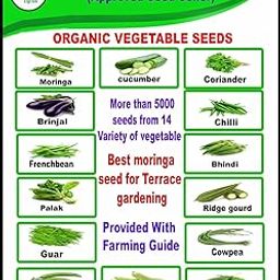Iagrifarm NSC Make Vegetable Seed Kit - More then 5000 Seeds from 14 varieties of Vegetable Seed For Terrece Gardening-image-30