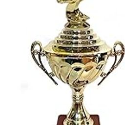 Be Win Cup Designed Fiber Trophy for Sports Events, Functions, Tournaments & Competitions Size Approximate 15" Inches (Football Reverse Kick)-image-55