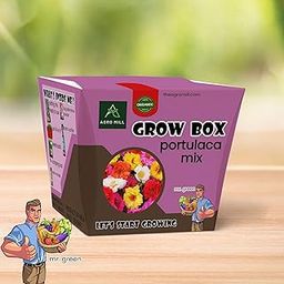 AGRO MILL ORGANIC PORTULACA MIX FLOWER GROW BOX/KIT | INCLUDES LARGE POT,POTTING MIX,SEEDS,SCRAPER TOOL,ROOT-O-SHOOT,PLANT NUTRIFIER,BUG DETERRENCE POWDER,PERFECT FOR HOME KITCHEN GARDEN & GIFTS-image-85
