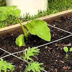 Creative Farmer Vermi Compost - Vegetable Plant Fertilizers (5 kg)-picture-17